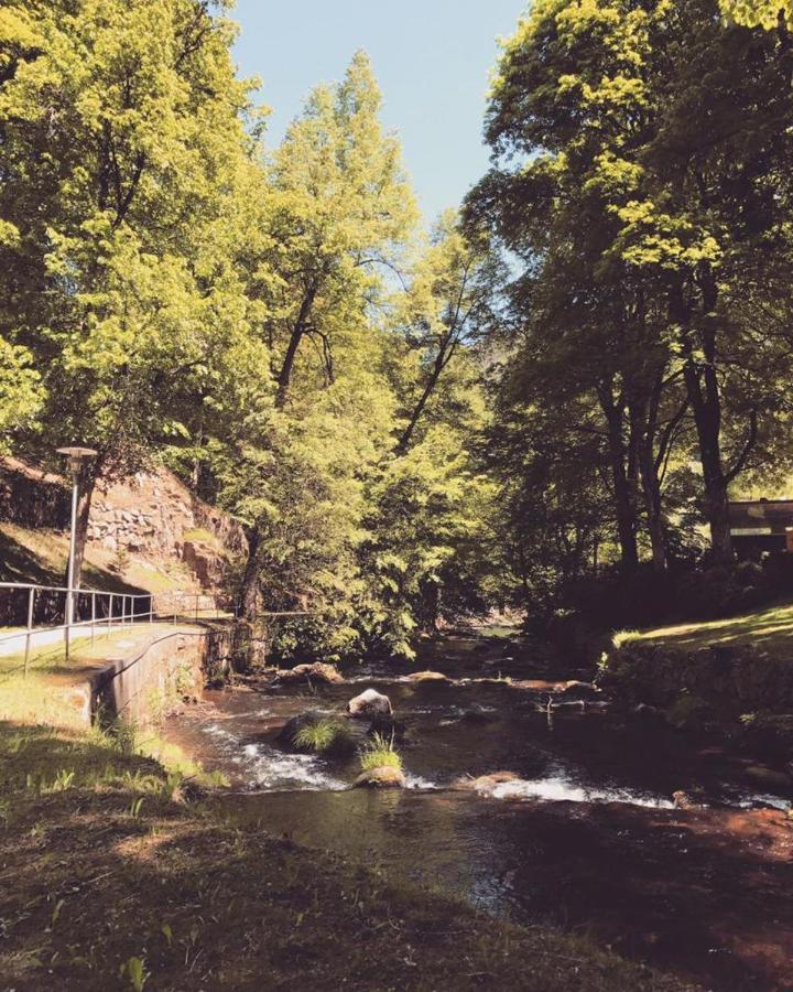 Апартаменты Schwarzwald Maedl Бад-Вильдбад Экстерьер фото